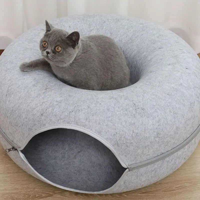 Dreamy Donut - Meow Spot