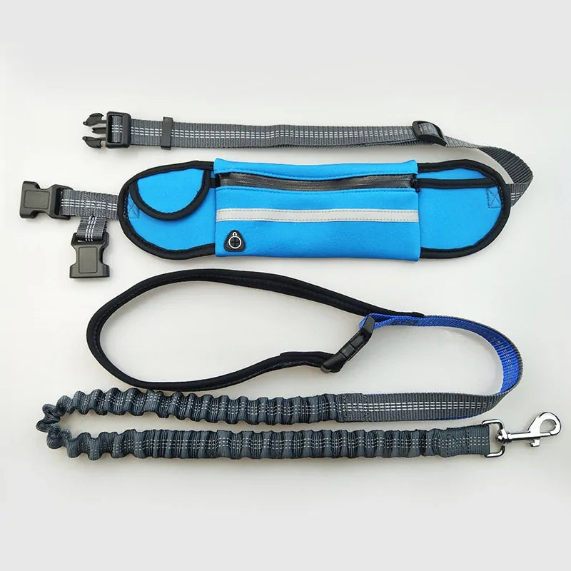 Zyver Free Walk - Power Leash