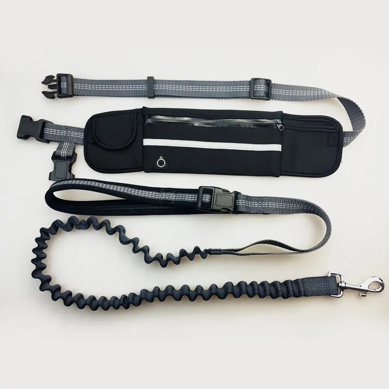 Zyver Free Walk - Power Leash