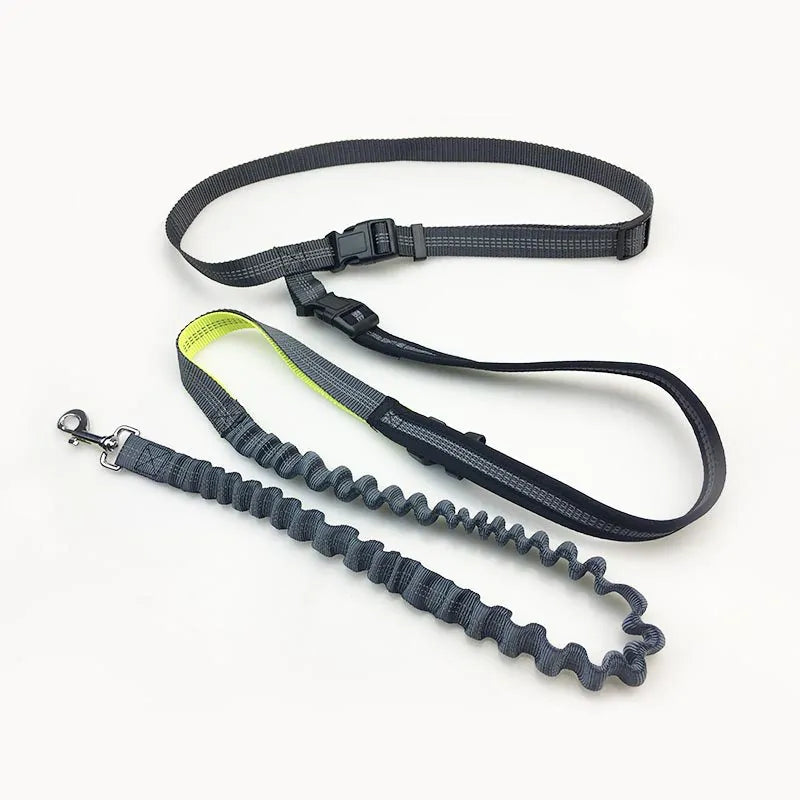 Zyver Free Walk - Power Leash