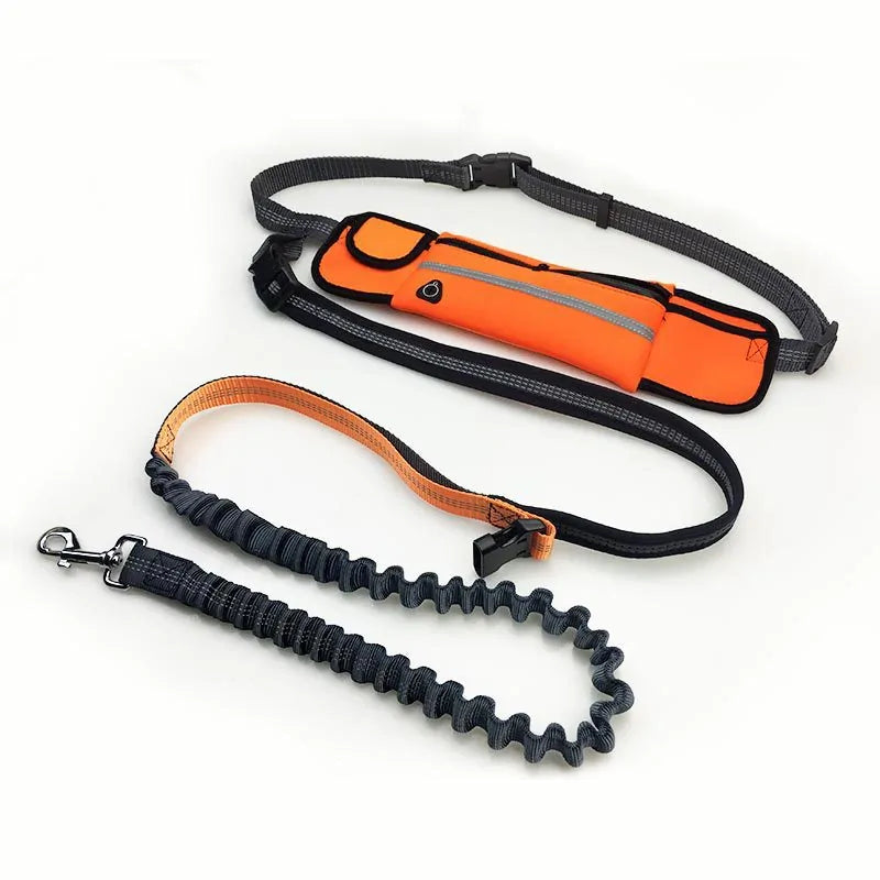 Zyver Free Walk - Power Leash